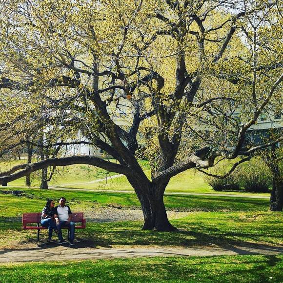 Meet your Posher, Maribel - Picture 1 of 1